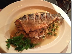 20160508_015222006_iOS